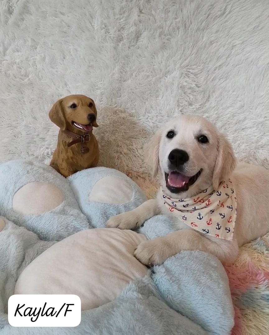 KAYLA (5 month old)