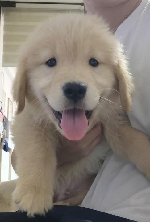 BRUCE (2 month old)