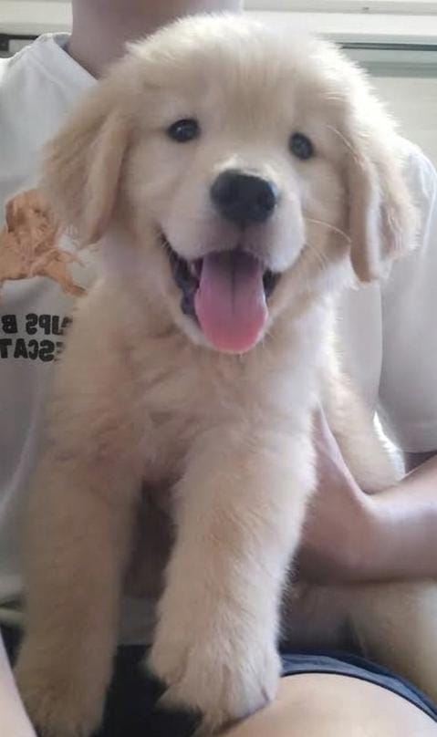 MERCURY (2 month old)