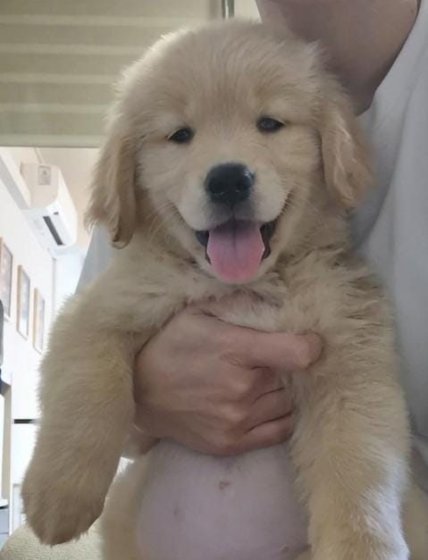 VENUS (2 month old)