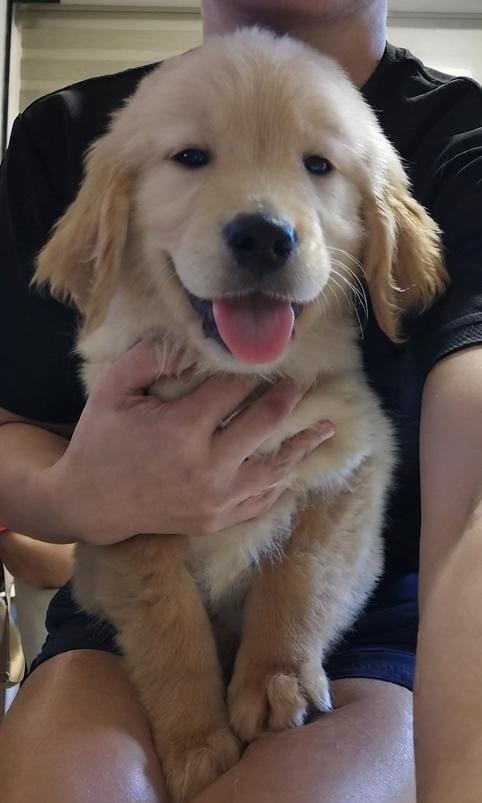 BENNETT (2 month old)