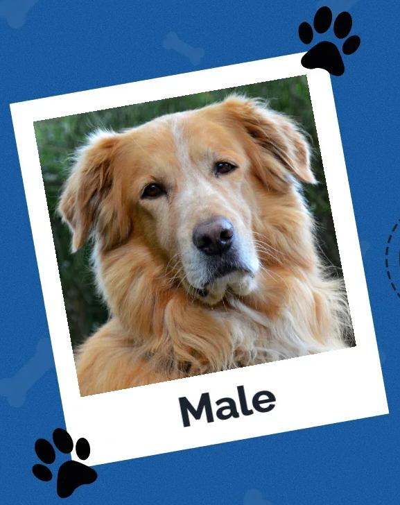 MALE