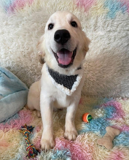 FROSTY (6 month old)