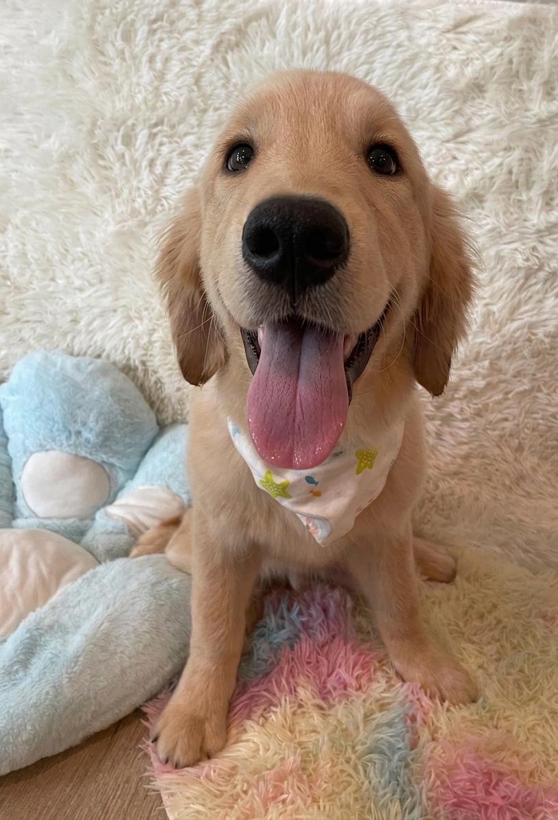 JERRY (6 month old)