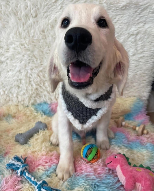 TOSH NEW YEAR BABY (6 month old)