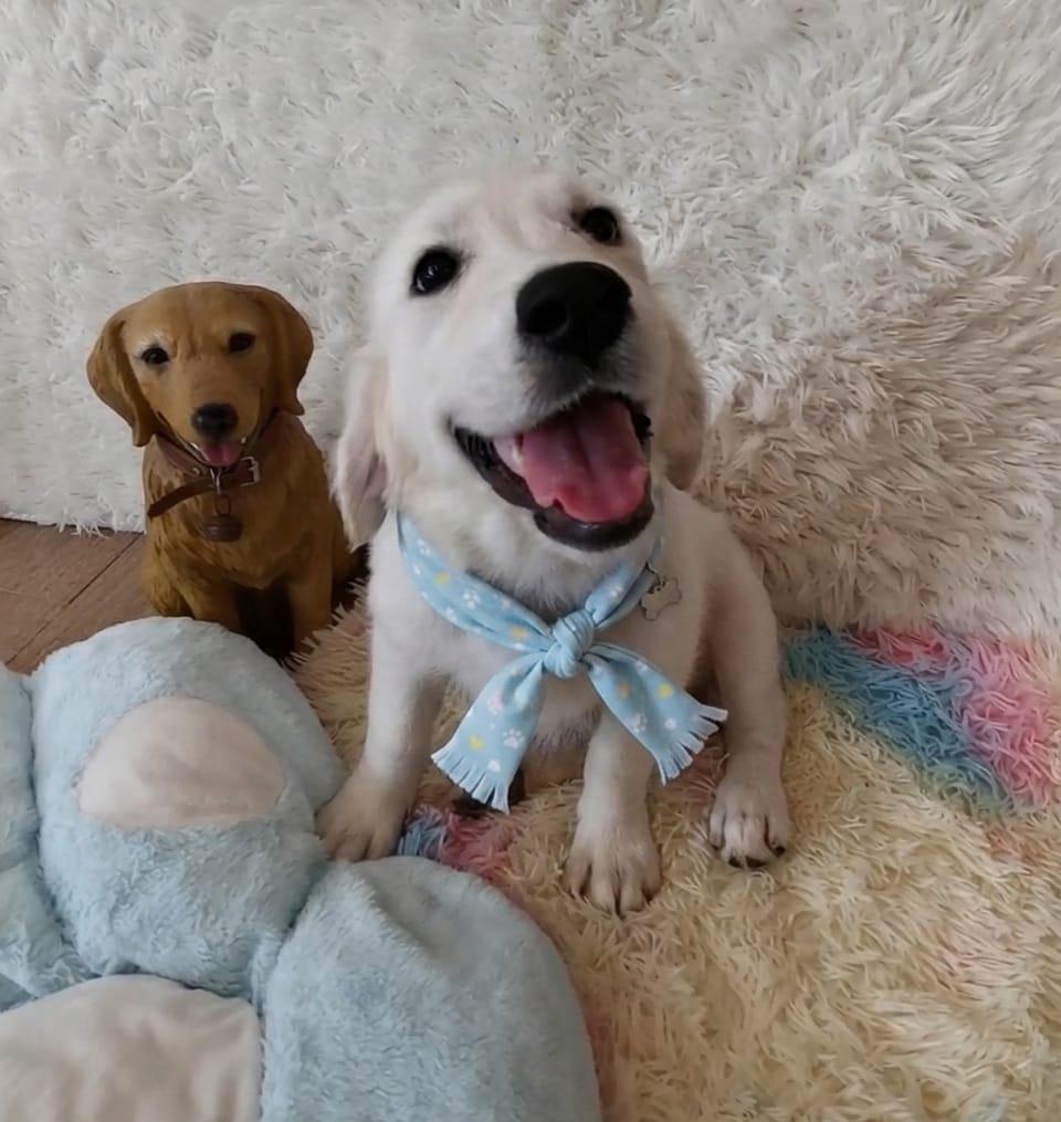 KIKI (5 month old)
