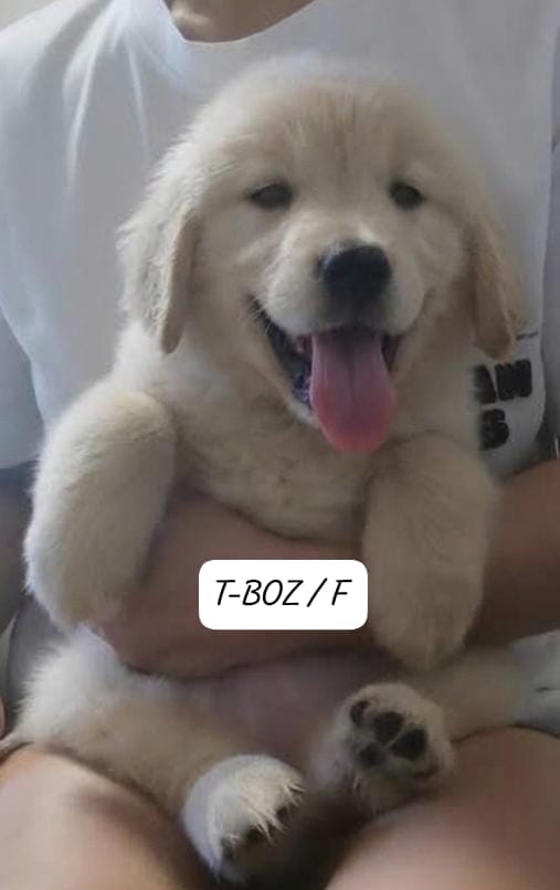 T-BOZ (2 month old)